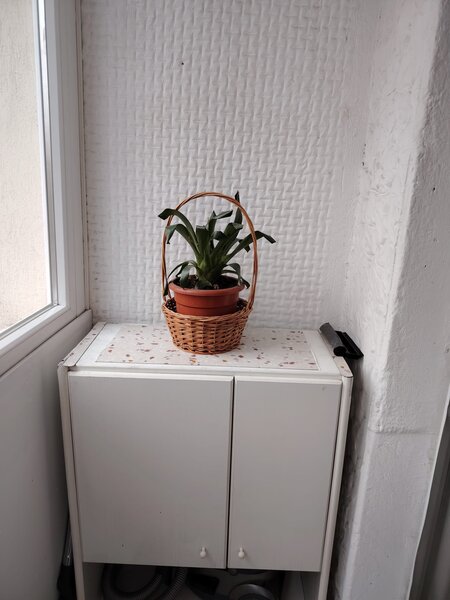 Tineretului, facultati 2 camere mobilate,