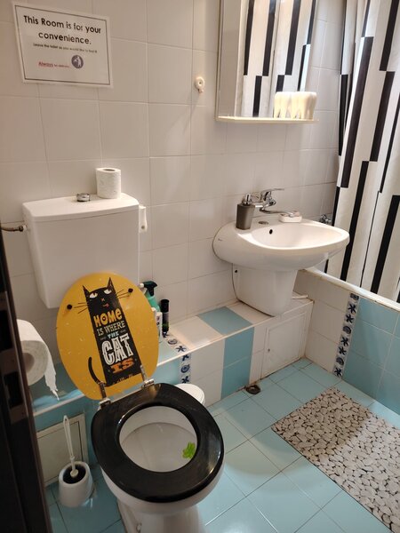 Tineretului, facultati 2 camere mobilate,